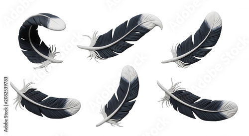 various angles of black and white stylized bird feathers floating against a white background decorative purposes