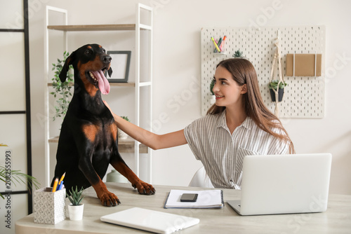Fotografía Cute Doberman dog and beautiful young happy woman with laptop at workplace at ho