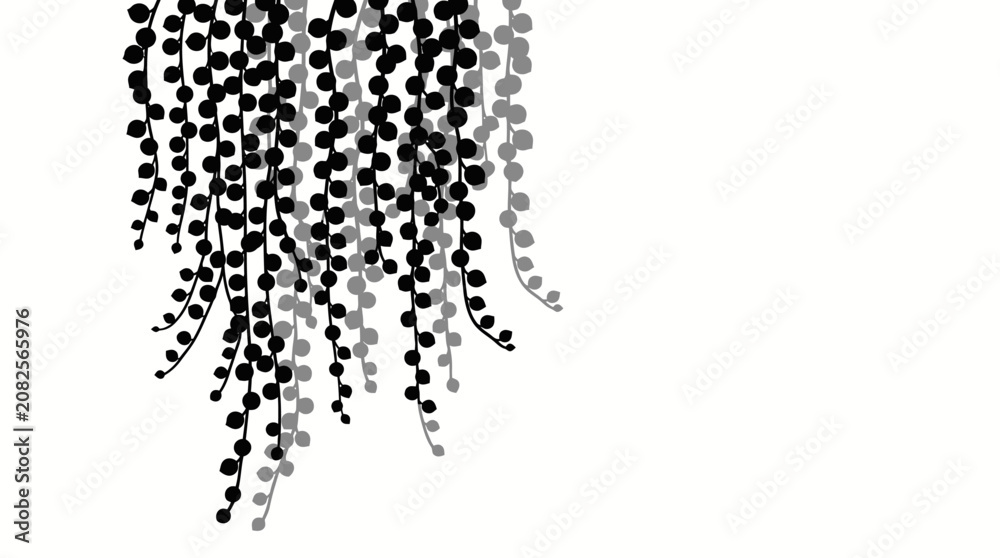 Obraz premium Minimalist black and white graphic illustration of hanging trailing string of pearls plant vines. Vector Illustration