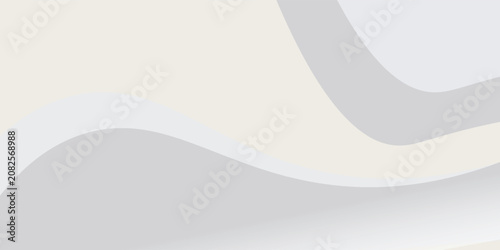 Canvas Print Abstract white and gray background