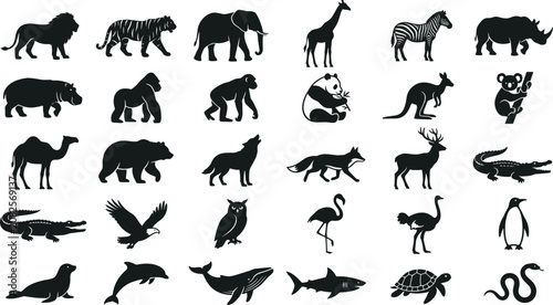 Photography Large collection of exotic zoo animals and sea creatures silhouettes for illustr