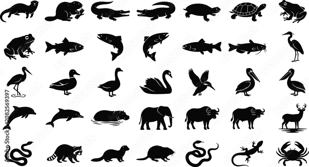 Fototapeta premium Various animal and bird silhouettes featuring mammals fish waterfowl and exotic species set icons
