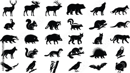 Photography Set of wild animal and bird silhouettes featuring various creatures on a white b