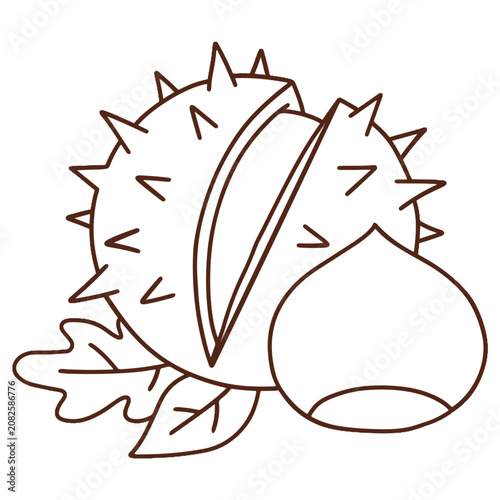 Chestnut with spiky shell vector icon. Autumn forest chestnut seed colored and outline illustration.