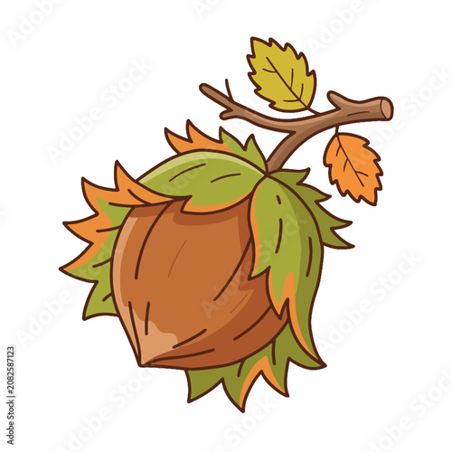 Hazelnut with leaf vector illustration. Colored and line art outline icon of autumn forest nut isolated.
