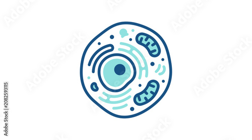 Bild auf Leinwand Cell Biology Structure Illustration.
