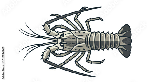 Canvastavla Detailed illustration of a crayfish body.