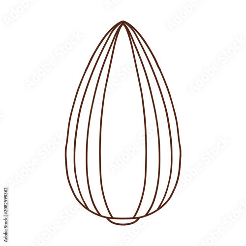 Sunflower seed vector illustration. Colored and black and white outline icon of natural snack isolated.