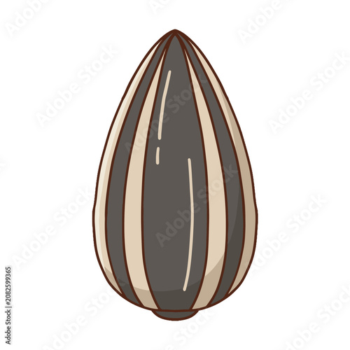 Sunflower seed vector illustration. Colored and black and white outline icon of natural snack isolated.
