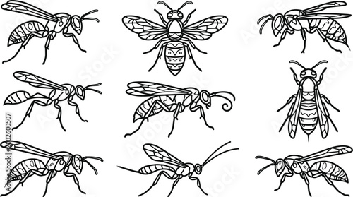 Quadro su tela Wasp Line Art Icon Set with Flying Hymenoptera Insects, Hornet, Paper Wasp, Yell
