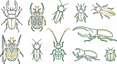 Foto Beetle Line Art Icon Set with Stag Beetle, Hercules Beetle, Longhorn Beetle, Sca