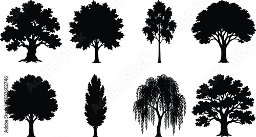 Принти на полотні Collection of black vector tree silhouettes featuring diverse canopy structures