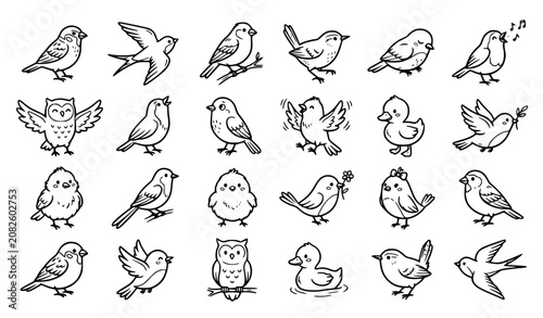 Photos Cute Hand Drawn Bird Doodle Collection Black Line Art Vector Set on White Backgr
