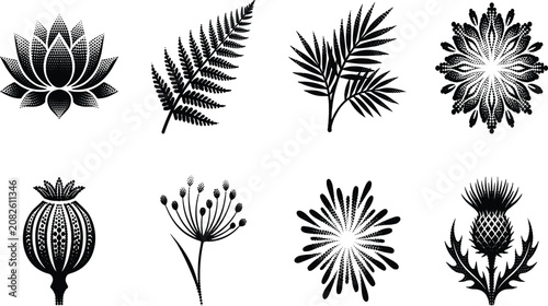Bilde på lerret Set of black botanical vector silhouettes with stippled halftone shading includi