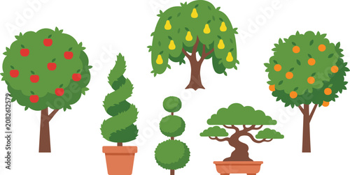 Fruit trees and garden topiary plant collection with apple pear orange and bonsai tree flat vector elements.
