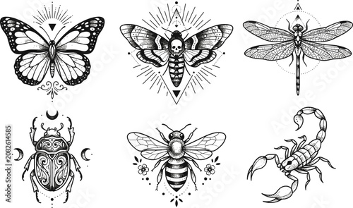 Tableau sur toile Vintage Engraved Insect Illustration Set with Butterfly, Death's Head Hawk Moth,