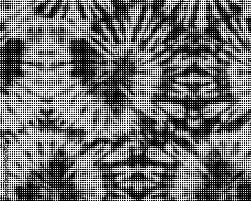 An intricate abstract halftone pattern showcasing a dynamic monochrome dot texture, perfect for contemporary design backgrounds, overlays, and unique graphic projects