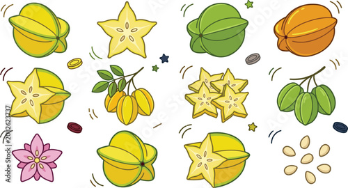 Fotografie Starfruit collection featuring fresh carambola whole sliced fruit blossoms seeds