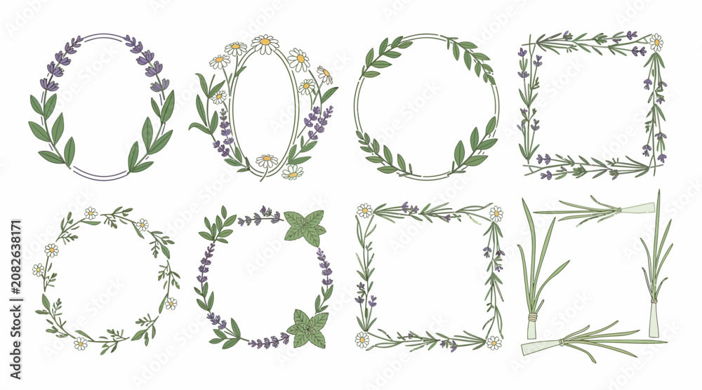 Fototapeta premium Botanical Hand-Drawn Floral Borders and Frames - Lavender, Daisy, Herbs