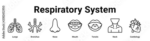 Vászonkép Respiratory System web banner icon vector illustration concept for medical with icon of Lungs, Bronchus, Nose, Mouth, Tonsils
