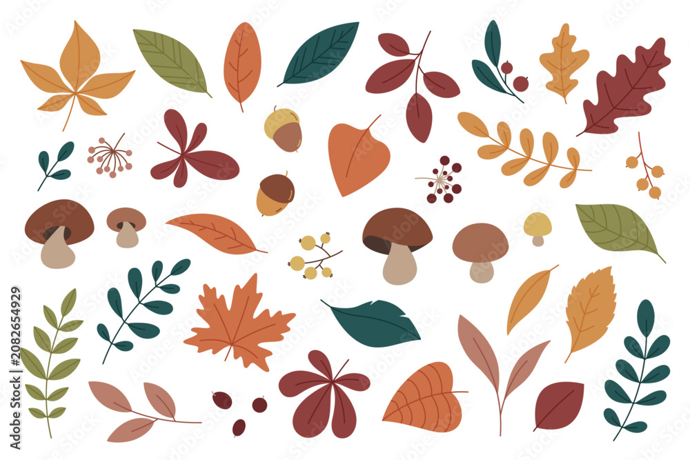 Fototapeta premium Flat vector autumn leaves collection. Cute hand drawn fall foliage, forest mushrooms and botanical elements isolated on white background 