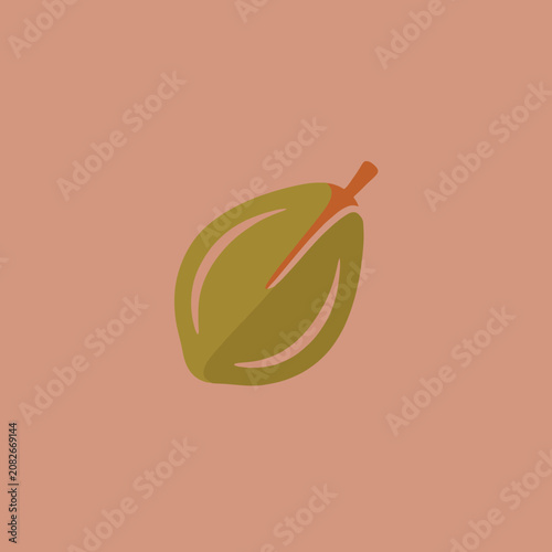 A simple flat illustration of a single green tropical fruit