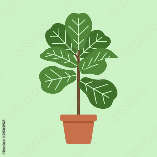 A green potted houseplant stands against a light background