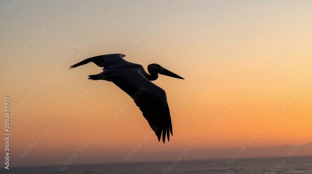 Naklejka premium Silhouette pelican gliding over ocean at sunset with warm orange sky