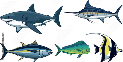 Foto Set of marine ocean fish including great white shark marlin yellowfin tuna mahi
