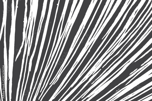 Abstract black and white grunge background . Monochrome vector texture