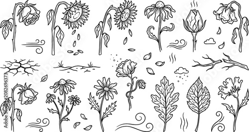 Foto Withered and Dying Flowers Doodle Outline Vector Icon Set with Drooping Roses, W