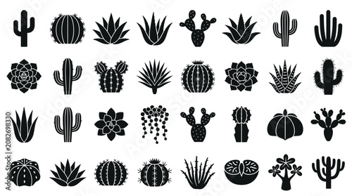 Принти на полотні A collection of various cactus and succulent illustrations in eps format for blo