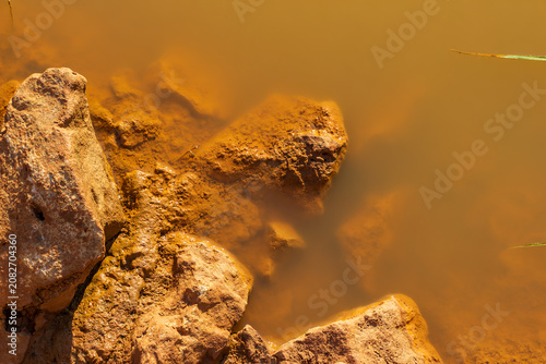 Billede på lærred Top view of textured orange clay rocks submerged in murky pond water under brigh