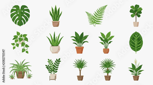 Corporate Collection of 15 Stylish Indoor Houseplants in Modern Pots for Office or Home Decor with high quality professional line art symbols for modern creative design and digital branding projects