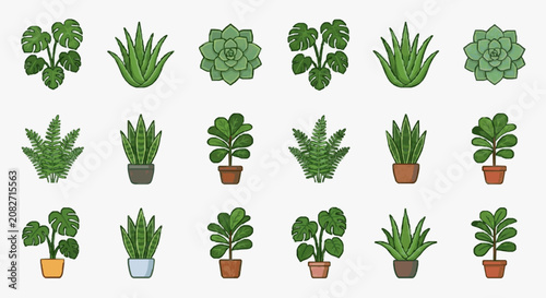 Corporate Collection of 15 Stylish Indoor Plants and Succulents in Potted and Natural Forms for Office Decoration