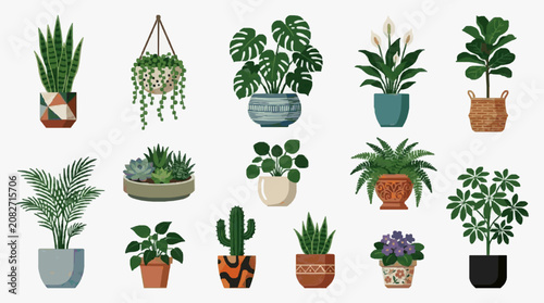 Corporate Collection of 15 Stylish Indoor Plants in Trendy Pots for Modern Office or Home Decor