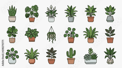 Corporate Collection of 15 Stylish Indoor Potted Plants in Modern Minimalist Design with Varied Pots and Greenery