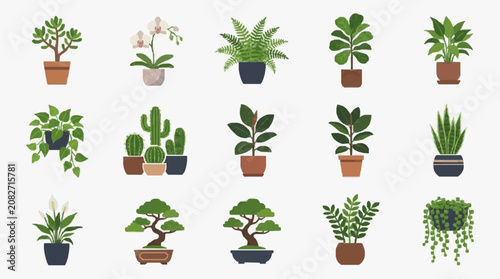 Corporate Collection of 15 Stylish Potted Indoor Plants with Varied Colors and Shapes for Office Decoration