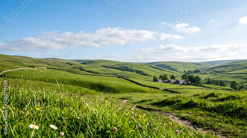Scenic rolling green countryside hills with stone wall and sunny blue sky landscape countryside outdoors environment hillside panoramic peaceful