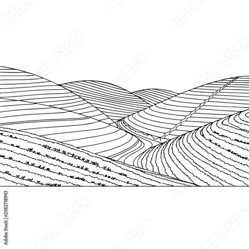 Black and white abstract wavy lines pattern landscape