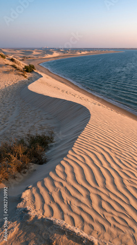 Coastal Dunes Serenity: Exp...