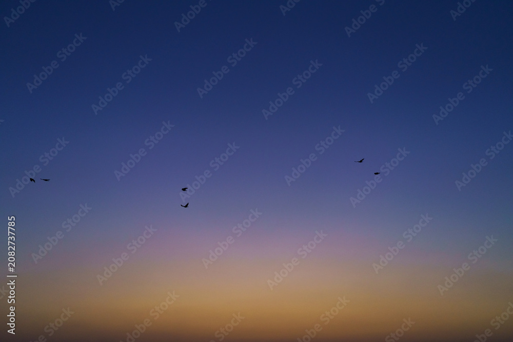 Fototapeta premium Colorful transparent sky without cloud at dusk to sunrise, beautiful background