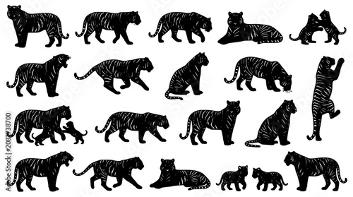 Photography Amur Tiger Mega Wildlife Vector Collection with Male Female and Cub Realistic Bl