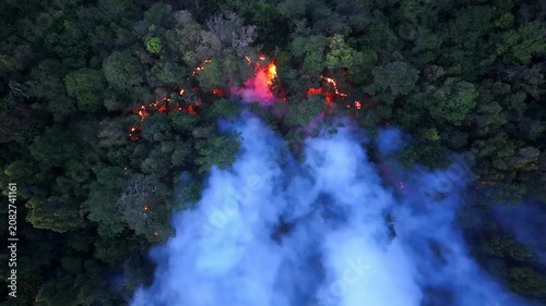 Aerial view shows forest fire spreading through green canopy