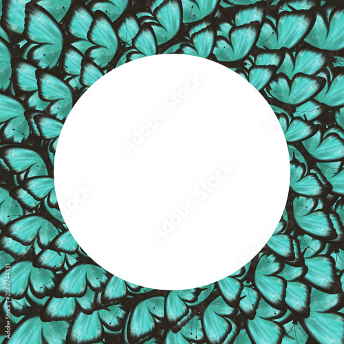 Round butterfly frame with turquoise wings surrounding a large circular copy space. Elegant nature template for invitations, greeting cards, branding, social media, posters, and creative projects