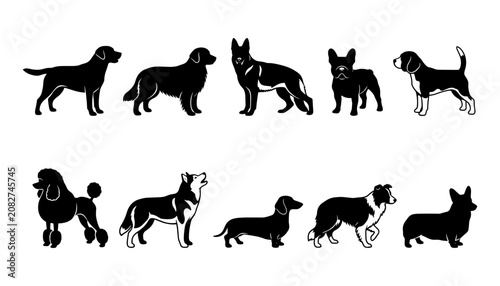 Fotografía Dog Silhouette Icons Set with Multiple Breeds in Black Vector Style on White Bac
