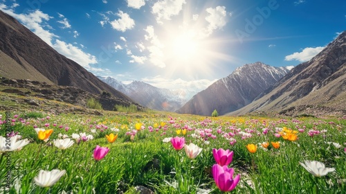 Vibrant mountain valley bursting with colorful blooming wildflowers under a bright, sunlit blue sky