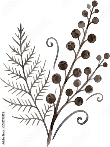 Watercolor Fern Leaf and Dark Berries Bouquet Illustration
