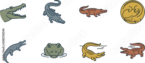 Bild auf Leinwand Crocodile and Alligator Collection Featuring Reptile Wildlife Icons, Caiman, Flo