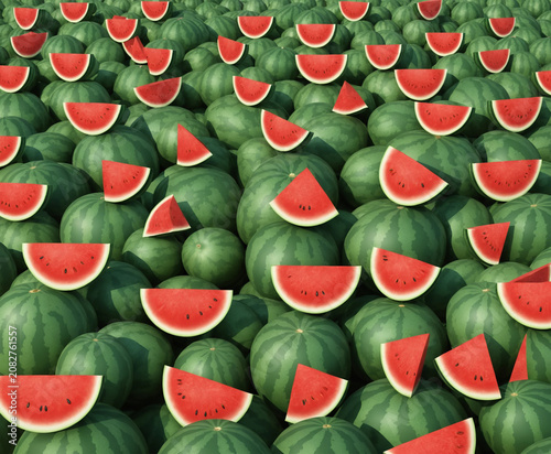 Watermelon orchard, looks delicious.